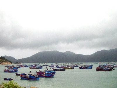 Phú Yên có thể mất đi hơn 44 km2 đất - 2