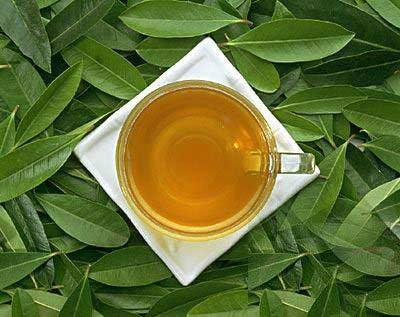 Các loại trà giảm eo - 1