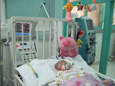 Giảm nhiễm trùng máu nhưng Nhân Ái đang bị viêm ruột - 1 Giảm nhiễm trùng máu nhưng Nhân Ái đang bị viêm ruột - 1