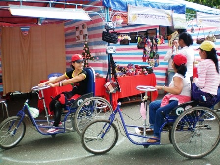 TPHCM: Triển lãm “Vươn lên từ cánh hoa khuyết” - 2 TPHCM: Triển lãm “Vươn lên từ cánh hoa khuyết” - 2