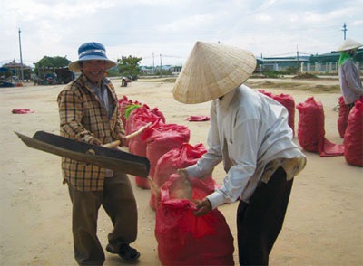 Kỳ lạ chuyện xuất khẩu khoai mì trộn cát! - 1 Kỳ lạ chuyện xuất khẩu khoai mì trộn cát! - 1