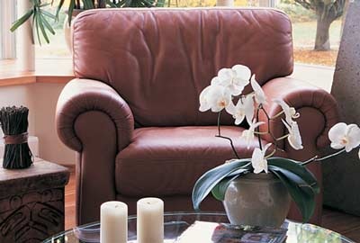 Ngồi ghế mềm để cảm xúc thăng hoa - 1