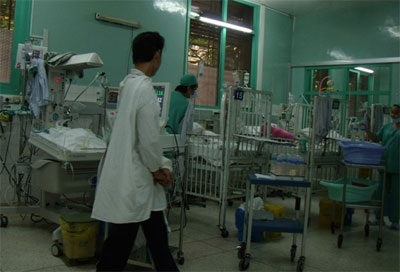 Ai sẽ được quyền nuôi bé Nhân Ái theo pháp lý? - 1 Ai sẽ được quyền nuôi bé Nhân Ái theo pháp lý? - 1