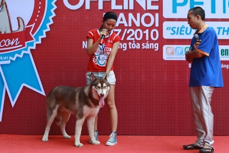 Cô, cậu chủ nhỏ và… cún - 2