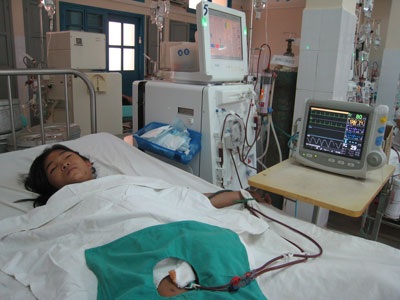 Thoát chết sau khi bị ong vò vẽ đốt hơn 80 mũi - 1 Thoát chết sau khi bị ong vò vẽ đốt hơn 80 mũi - 1