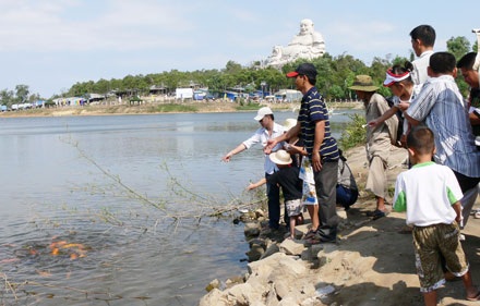 Khu du lịch đầy rùa “độc” do du khách phóng sinh - 1 Khu du lịch đầy rùa “độc” do du khách phóng sinh - 1