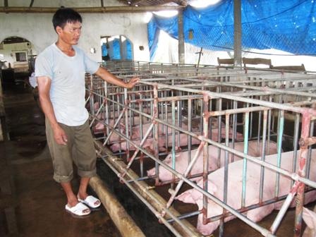 Anh nông dân “khùng” kiếm tiền từ... bãi đất hoang - 1