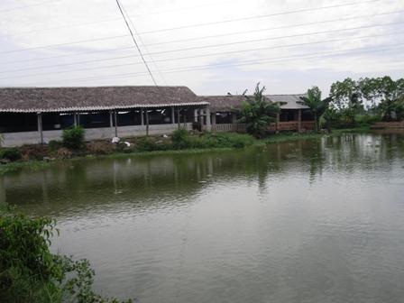 Anh nông dân “khùng” kiếm tiền từ... bãi đất hoang - 2