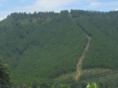 Phát hiện xác chết trên đồi sim sau 6 tháng mất tích - 1