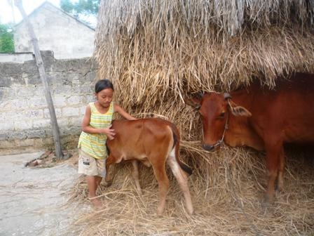 Hai đứa trẻ mồ côi và mong ước được đến trường - 2