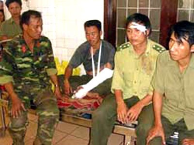 Nỗi đau của rừng - 1