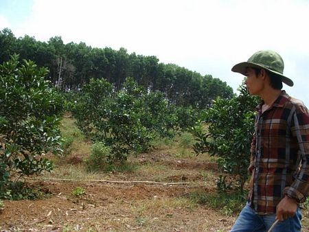 Du lịch sinh thái - lối mở cho nông nghiệp Việt Nam - 4 Du lịch sinh thái - lối mở cho nông nghiệp Việt Nam - 4
