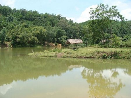 Du lịch sinh thái - lối mở cho nông nghiệp Việt Nam - 5 Du lịch sinh thái - lối mở cho nông nghiệp Việt Nam - 5