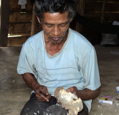 Tìm được cây “trăm triệu” khi đi làm rẫy - 1 Tìm được cây “trăm triệu” khi đi làm rẫy - 1