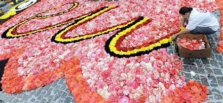 “Đã mắt” với thảm hoa khổng lồ giữa thủ đô Brussels - 14