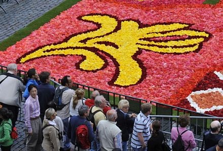 “Đã mắt” với thảm hoa khổng lồ giữa thủ đô Brussels - 17 “Đã mắt” với thảm hoa khổng lồ giữa thủ đô Brussels - 17