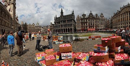 “Đã mắt” với thảm hoa khổng lồ giữa thủ đô Brussels - 6 “Đã mắt” với thảm hoa khổng lồ giữa thủ đô Brussels - 6