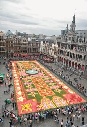 “Đã mắt” với thảm hoa khổng lồ giữa thủ đô Brussels - 4 “Đã mắt” với thảm hoa khổng lồ giữa thủ đô Brussels - 4