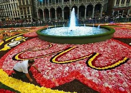 “Đã mắt” với thảm hoa khổng lồ giữa thủ đô Brussels - 15 “Đã mắt” với thảm hoa khổng lồ giữa thủ đô Brussels - 15