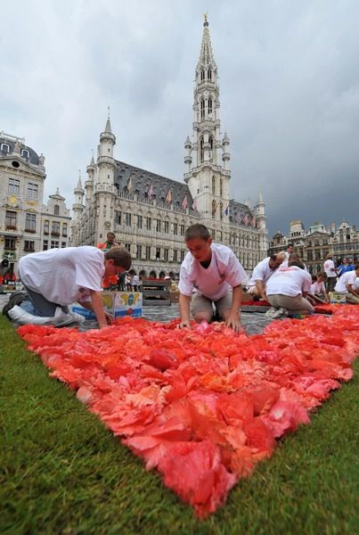 “Đã mắt” với thảm hoa khổng lồ giữa thủ đô Brussels - 8 “Đã mắt” với thảm hoa khổng lồ giữa thủ đô Brussels - 8