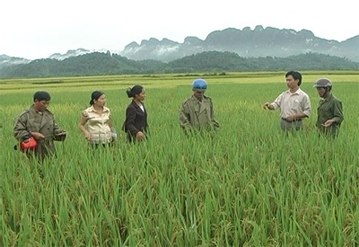 Lượng đã ổn, cần bổ sung thêm chất - 1
