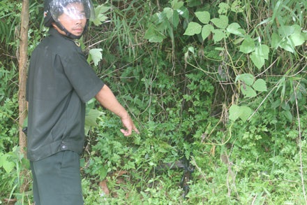 Tin thêm về vụ lâm tặc đánh, tước vũ khí của kiểm lâm - 1