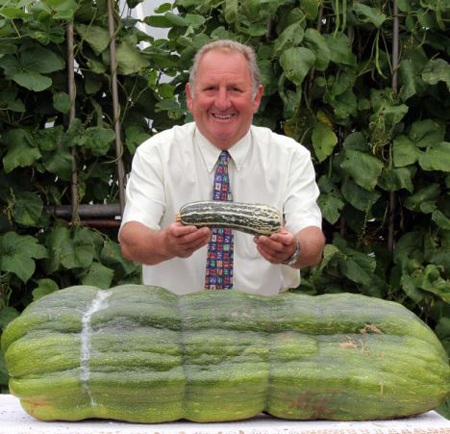 Hai người mới khiêng nổi một quả bí xanh - 1 Hai người mới khiêng nổi một quả bí xanh - 1