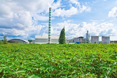 Sản xuất xăng sinh học E5: Hàng vạn nông dân được hưởng lợi - 1