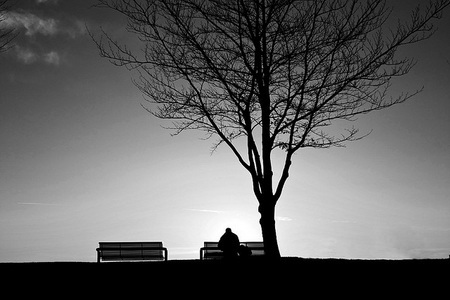 Triển lãm ảnh “Up & Down” và hoạt động đấu giá từ thiện - 10 Triển lãm ảnh “Up & Down” và hoạt động đấu giá từ thiện - 10