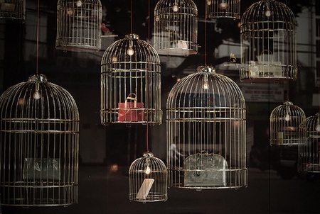 Triển lãm ảnh “Up & Down” và hoạt động đấu giá từ thiện - 14 Triển lãm ảnh “Up & Down” và hoạt động đấu giá từ thiện - 14