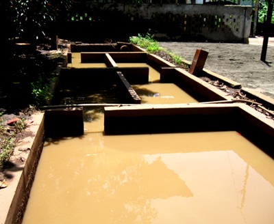 Hàng trăm người “ngạt thở” vì xưởng luyện kim loại màu - 11