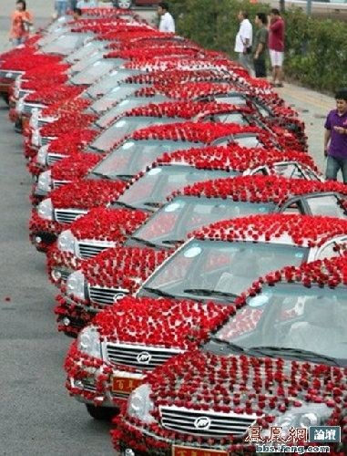 Chú rể tặng cô dâu 99.999 bông hồng đỏ - 6