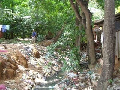 Số ca mắc sốt xuất huyết giảm 50% - 1 Số ca mắc sốt xuất huyết giảm 50% - 1