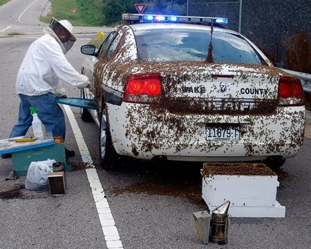 Những hình ảnh ấn tượng trong tuần - 10