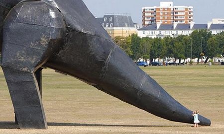 Những hình ảnh ấn tượng trong tuần - 11