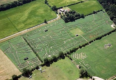 Những hình ảnh ấn tượng trong tuần - 2