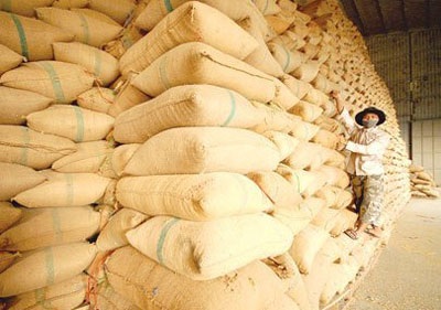 Khan hiếm gạo cho xuất khẩu - 1