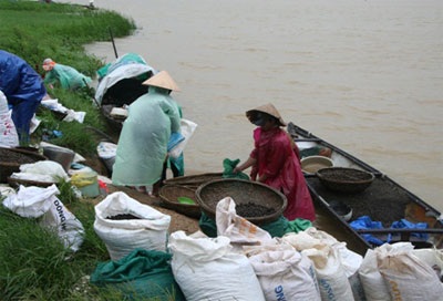 Khẩn trương cứu tàu cá bị trôi dạt ở biển Đà Nẵng - 1