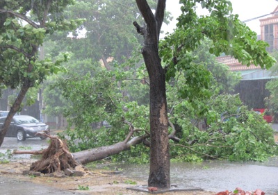 Bão số 3 đổ bộ, đã có thiệt hại về người - 6