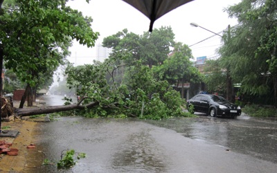 Bão số 3 đổ bộ, đã có thiệt hại về người - 7