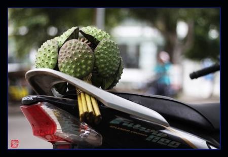 Chùm ảnh: Sen hạ - 8