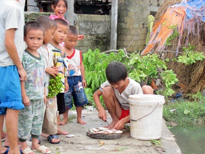 Mưu sinh sau ngày bão - 10