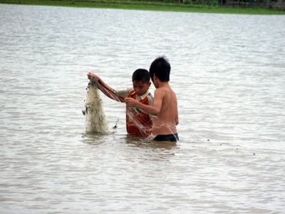 Mưu sinh sau ngày bão - 4