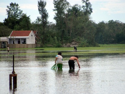 Mưu sinh sau ngày bão - 7