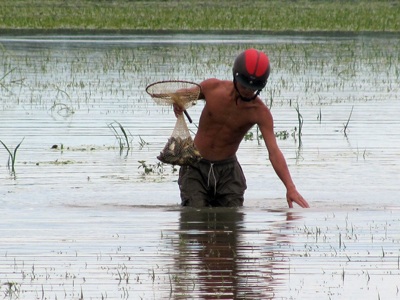 Mưu sinh sau ngày bão - 5