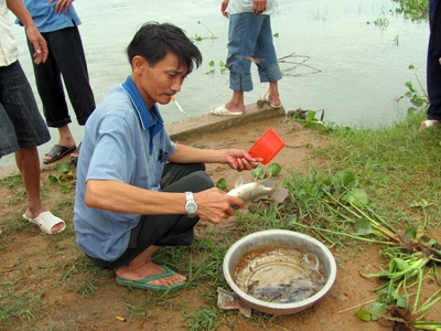 Mưu sinh sau ngày bão - 11