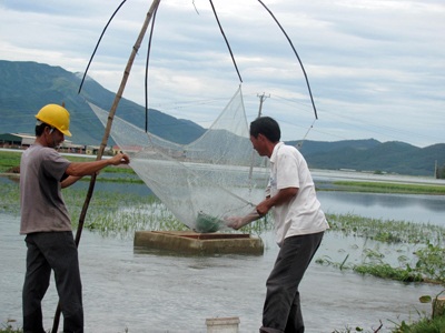 Mưu sinh sau ngày bão - 9