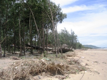 Người chết, nhà cửa tàu thuyền tan nát sau bão - 13