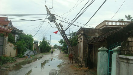 Nghệ An: Bão số 3 gây thiệt hại lớn về người và của - 30 Nghệ An: Bão số 3 gây thiệt hại lớn về người và của - 30