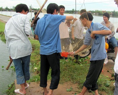 Mưu sinh sau ngày bão - 1